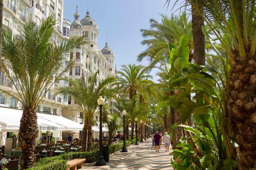 Un Lujo En El Corazon De Alicante Buitenkant foto